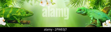 Green  Lizards sitting on tree branches surrounded by tropical flowers and leaves. Banner. Stock Photo