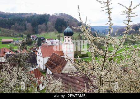 30 April 2023, Baden-Württemberg, Münsingen: View of the church St-Gallus in Bichishausen on the Swabian Alb, situated in the Lauter valley. Photo: Thomas Warnack/dpa Stock Photo