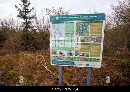 bunakippaun woodland attyslany unique habitat in the burren county clare republic of ireland Stock Photo