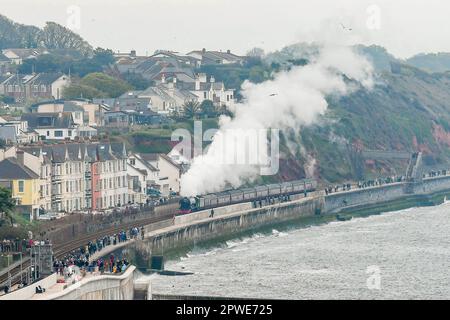 Dawlish, Devon, UK.  30th April 2023. Steam enthusiasts line the sea wall as No.60103 the Flying Scotsman races through Dawlish in Devon as it heads towards Plymouth on its way to Cornwall during the iconic steam locomotives centenary celebrations.  Picture Credit: Graham Hunt/Alamy Live News Stock Photo