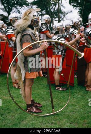 Cornicen holding his Cornu (signaling instrument), Ermine Street Guard display at Segontium Roman Fort, Caernarfon, Wales, UK. Stock Photo