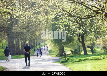 London, UK. 29th Apr, 2023. In London's Green Park the bank holiday weekend started with the warmest day of the year so far. In Green Park fresh green leaves unfurled on trees and blossom trees provided a backdrop for picnics, ball games and gentle strolls in the sunshine. Credit: Anna Watson/Alamy Live News Stock Photo