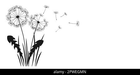 Dandelion with flying seeds ink silhouette background. Abstract flowers dandelions engraving black plants. Botany floral etching design template, advertising banner, poster or card, cover invitation Stock Vector