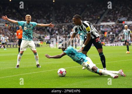 Newcastle United's Joe Willock (right) appears to push Southampton's Moussa Djenepo as James Ward-Prowse (left) reacts during the Premier League match at St James' Park, Newcastle upon Tyne. Picture date: Sunday April 30, 2023. Stock Photo