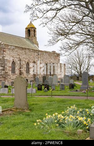 St Marys Church, or St Mary the Virgin Church, exterior of12th century stone church in spring on Lindisfarne or Holy Island, Northumberland UK Stock Photo