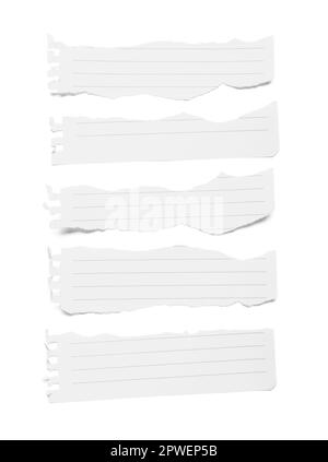 Torn pieces of notebook paper sheets isolated on white background Stock Photo