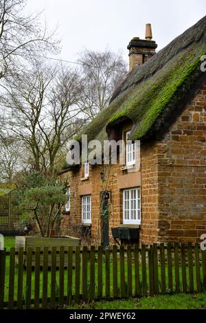 English thatched countryside cottage with white window frames and a wooden picket fence on a cloudy January day Stock Photo