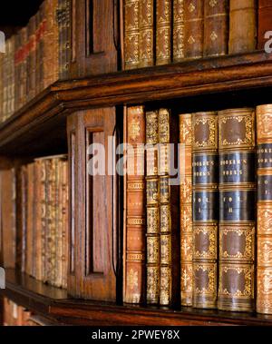 Close up image of wooden bookcase with shelves filled with antique leather bound books Stock Photo