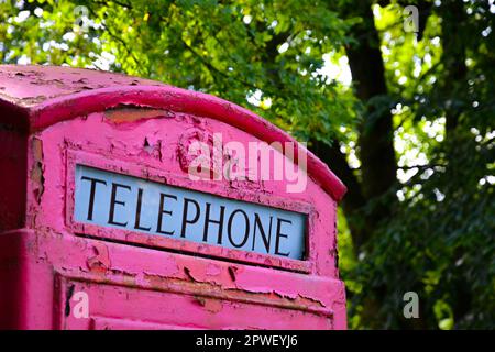 View of the top of an old English red telephone box with trees in the background. Stock Photo