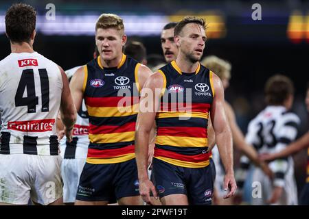 Brodie Smith of the Crows after the loss during the AFL Round 7