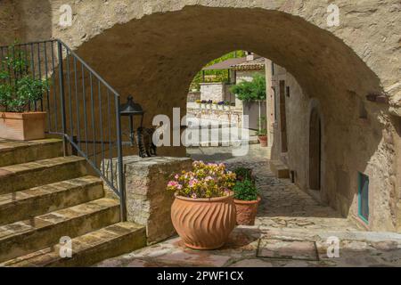 CASTELLO DI POSTIGNANO, ITALY - APRIL 30, 2023: Cat in the old alley of Postignano castle in Umbria region, Italy Stock Photo