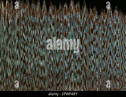 Glitch texture background. Distortion noise. Frequency error. Brown blue green color vibration waves artifacts on dark black abstract illustration pos Stock Photo
