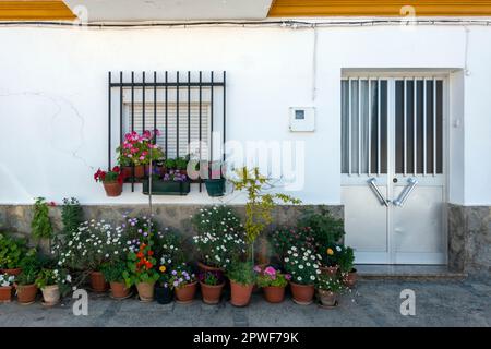 Facade of a house decorated in the Andalusian style with many pots with flowers Stock Photo
