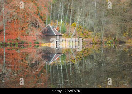 A colourful autuman woodland scene of an old abandoned boathouse over a calm still lake reflection on Loch Dunmore at Faskally Forest in Perth and Kin Stock Photo