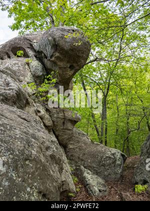 Pickle Springs Natural Area Stock Photo