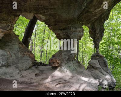 Pickle Springs Natural Area Stock Photo