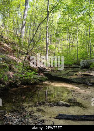 Pickle Springs Natural Area Stock Photo