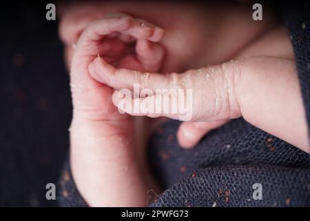 A tiny cute baby born one week old. Newborn peeling. Newborn Baby's hands and face skin with skin peels. close up of hands new baby born details. Stock Photo
