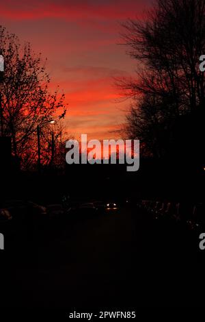 Bright colors twilight sky over city street with parked cars and trees silhouettes on sides Stock Photo