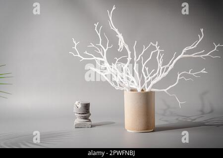 White branches in ceramic vase Stock Photo