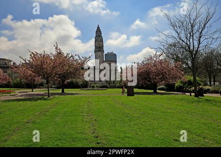 Alexandra Gardens looking towards Cardiff City Hall and clock tower, Cathays Park, Cardiff. Taken April 2023. Spring Stock Photo