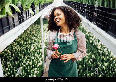 Young cute mixed race girl in green apron holding peony tulip on background of plantations with flowers in greenhouse. Smiling attractive darkskinned Stock Photo