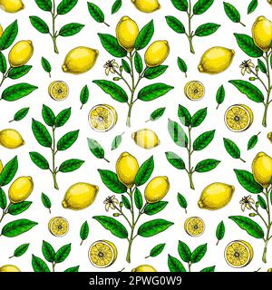 Lemon seamless pattern. Colorful hand drawn vector illustration in sketch style. Tropical exotic citrus fruit summer background Stock Vector