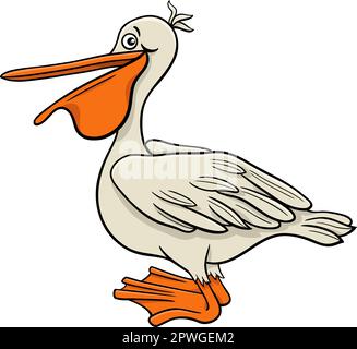 Vector illustration of Cartoon pelican Stock Vector Image & Art - Alamy