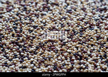 closeup of white, red and black quinoa seeds Stock Photo