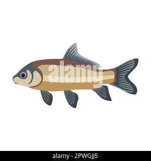 Freshwater fish cartoon illustration. Herring, mackerel, bream, catfish, sardine, halibut, anchovy isolated on white background. Seafood Stock Vector
