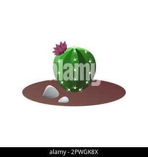 Green round cactus growing in ground of pot Stock Vector