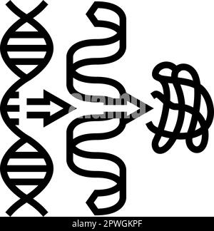 biosynthesis biochemistry line icon vector illustration Stock Vector ...