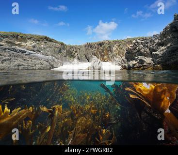 Wild sandy beach on rocky coast with seaweed underwater in the Atlantic ocean, split level view over and under water surface, Spain, Galicia Stock Photo