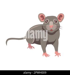 Cute grey rat cartoon illustration. Little house mice or rat character with  long tail isolated on white background Stock Vector Image & Art - Alamy