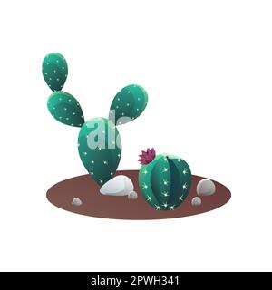 Green cacti with rocks growing in ground of pot Stock Vector