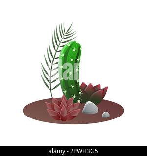 Composition of succulents and cactus growing in ground of pot Stock Vector