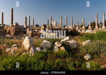 Roman ruins and columns at tip of Tyre peninsula, mediterranean sea, Tyre(Sour,Sur), Lebanon, middle east, Asia Stock Photo