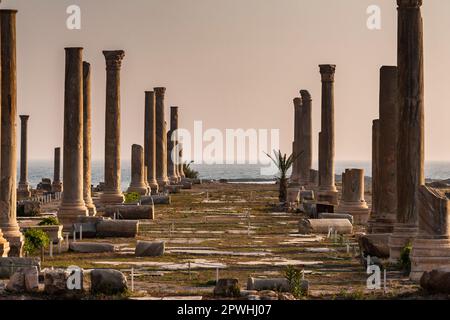 Roman ruins and columns at tip of Tyre peninsula, evening, mediterranean sea, Tyre(Sour,Sur), Lebanon, middle east, Asia Stock Photo