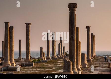 Roman ruins and columns at tip of Tyre peninsula, evening, mediterranean sea, Tyre(Sour,Sur), Lebanon, middle east, Asia Stock Photo