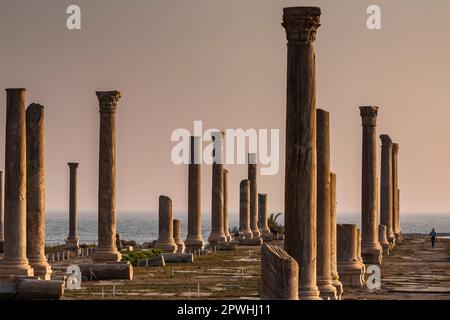 Roman ruins and columns at tip of Tyre peninsula, evening, mediterranean sea, Tyre(Sour,Sur), Lebanon, middle east, Asia Stock Photo