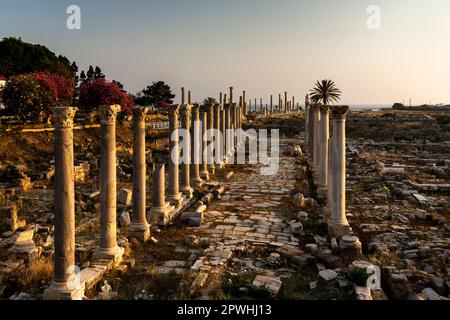 Roman ruins and columns at tip of Tyre peninsula, evening, mediterranean sea, Tyre(Sour,Sur), Lebanon, middle east, Asia Stock Photo