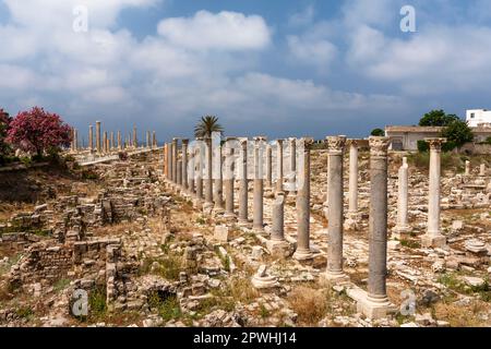 Roman ruins and columns at tip of Tyre peninsula, mediterranean sea, Tyre(Sour,Sur), Lebanon, middle east, Asia Stock Photo