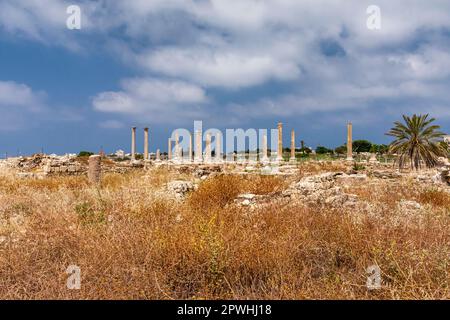 Roman ruins and columns at tip of Tyre peninsula, mediterranean sea, Tyre(Sour,Sur), Lebanon, middle east, Asia Stock Photo