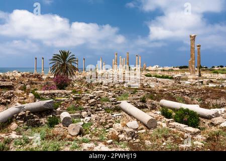 Roman ruins and columns at tip of Tyre peninsula, mediterranean sea, Tyre(Sour,Sur), Lebanon, middle east, Asia Stock Photo