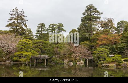 Cherry Blossom in Kyoto Gyoen National Garden, Kyoto, Japan Stock Photo