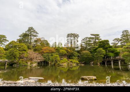 Cherry Blossom in Kyoto Gyoen National Garden, Kyoto, Japan Stock Photo