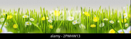 Green realistic grass border with colorful flowers and butterflies ...