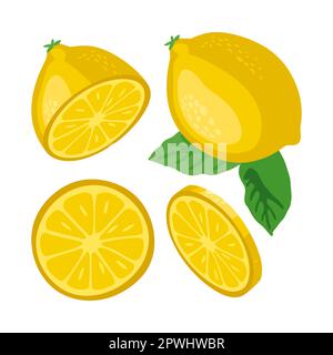 Pieces of lemon vector illustrations set Stock Vector