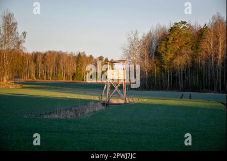 hunting tower standing in agriculture field early morning Stock Photo