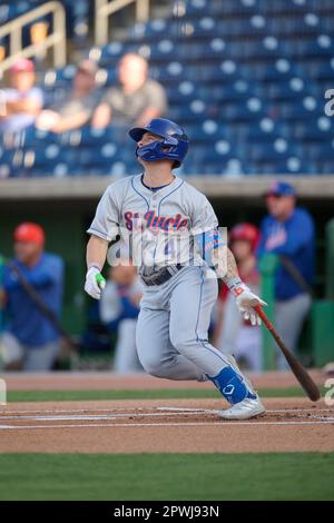 St Lucie Mets  Four Seam Images